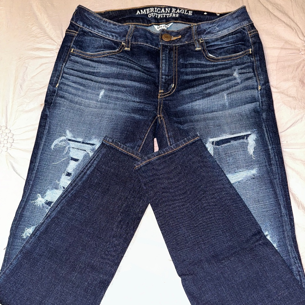 American Eagle Vintage Collection Jeans